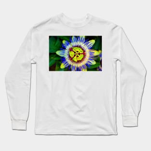 Passion Flower Summer Flowering Plant Long Sleeve T-Shirt